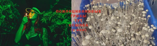 индика Беломорск