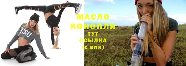 индика Беломорск
