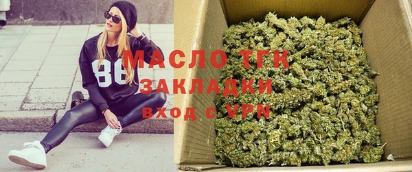 индика Беломорск
