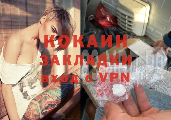 индика Беломорск