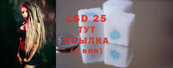 индика Беломорск