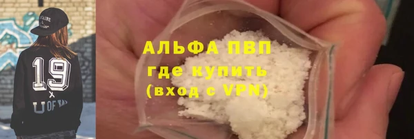 индика Беломорск