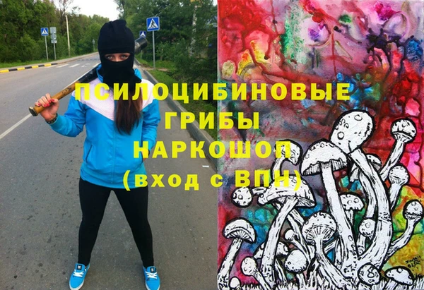 гашиш Богданович