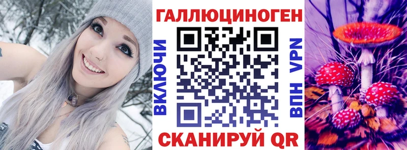 Псилоцибиновые грибы Psilocybine cubensis  Светлогорск 